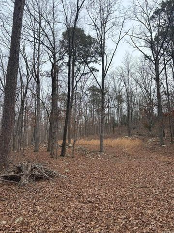000 Edge Road, Clinton, AR 72031
