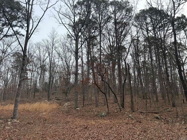 000 Edge Road, Clinton, AR 72031