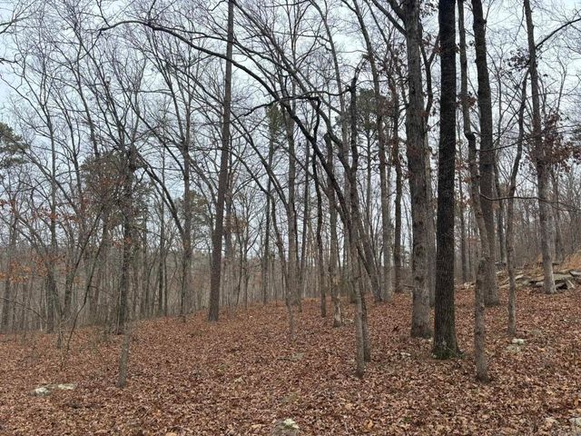 000 Edge Road, Clinton, AR 72031