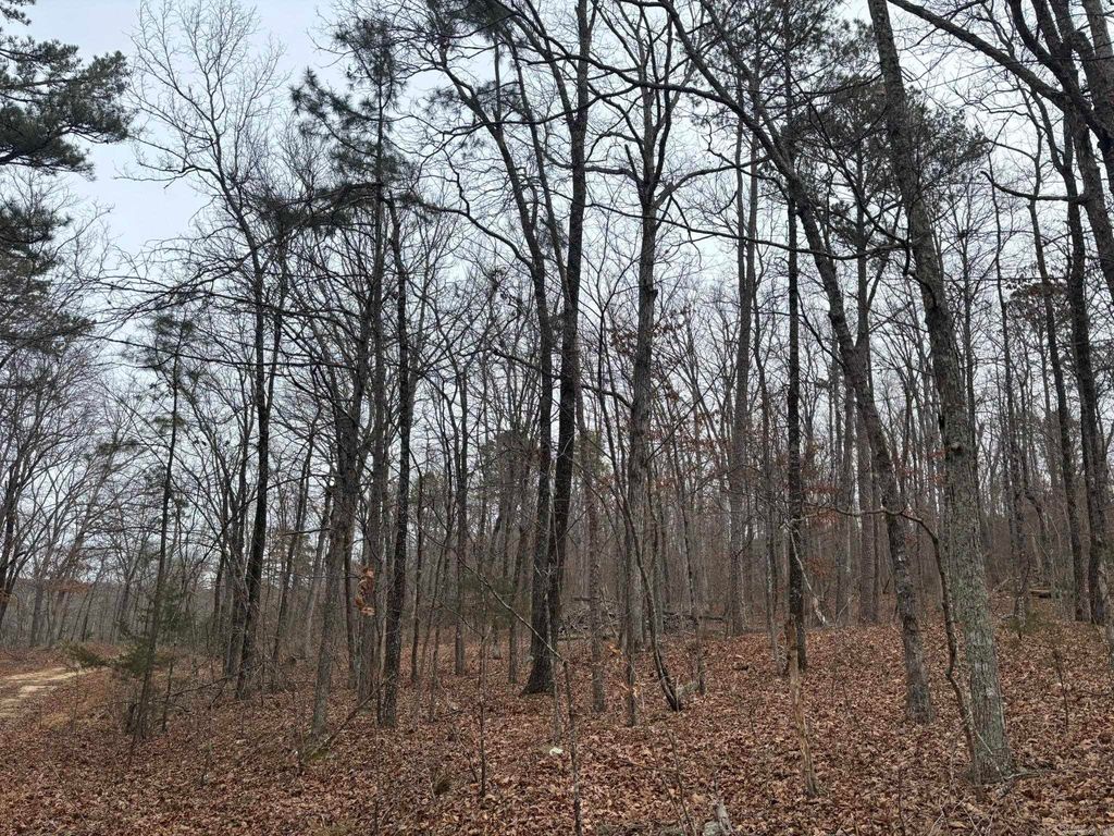 000 Edge Road, Clinton, AR 72031