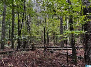 3550 MORGANS RUN PARKWAY, Bessemer, AL 35022