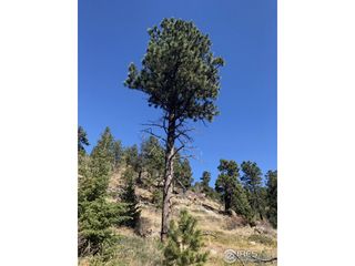 0 Good Friday Rd, Boulder, CO 80302