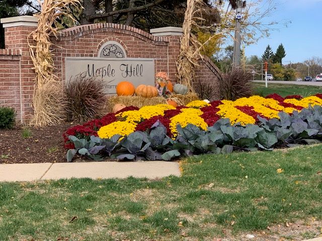 30W038 Willow Lane D, Warrenville, IL 60555