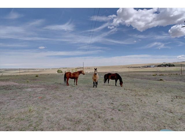 11159 Pine Meadows Dr, Kiowa, CO 80117