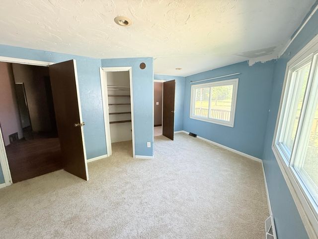 4207 Blue Vista Drive, Evart, MI 49631