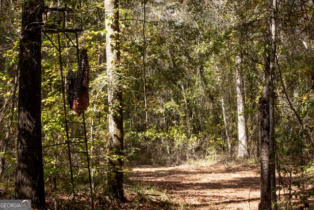 2690 E Lawson Merritt Road, Fort Valley, GA 31030