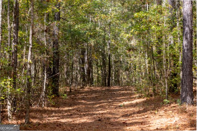 2690 E Lawson Merritt Road, Fort Valley, GA 31030