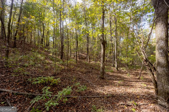 2690 E Lawson Merritt Road, Fort Valley, GA 31030