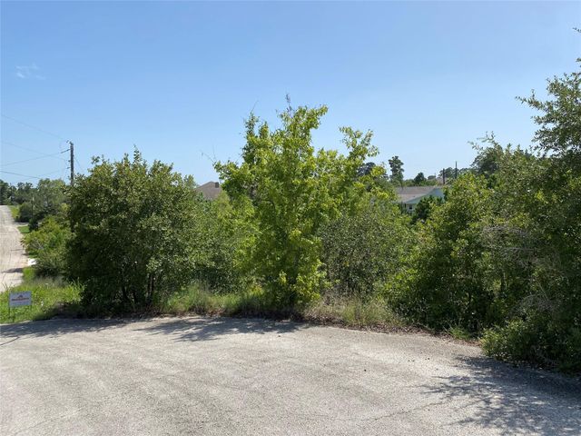 LOT 455 Hawea CT, Bastrop, TX 78602