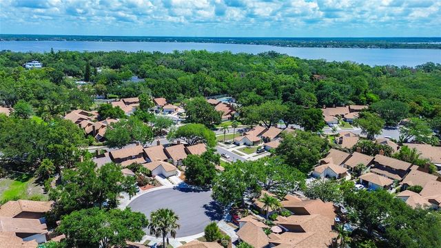 215 LIGHTHOUSE COURT 40215, Safety Harbor, FL 34695