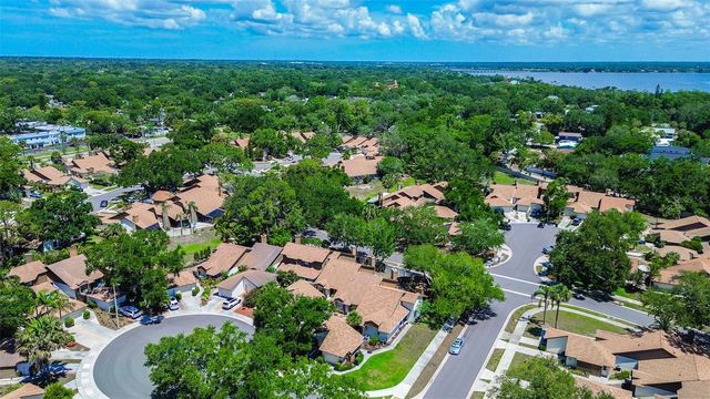 215 LIGHTHOUSE COURT 40215, Safety Harbor, FL 34695