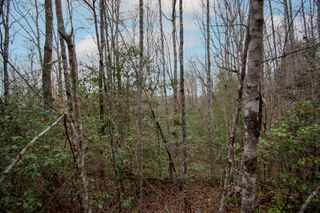 Lot 6 Posey Place, Murphy, NC 28906