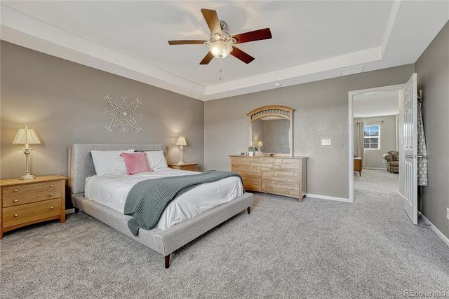 7791 Grady Circle, Castle Rock, CO 80108