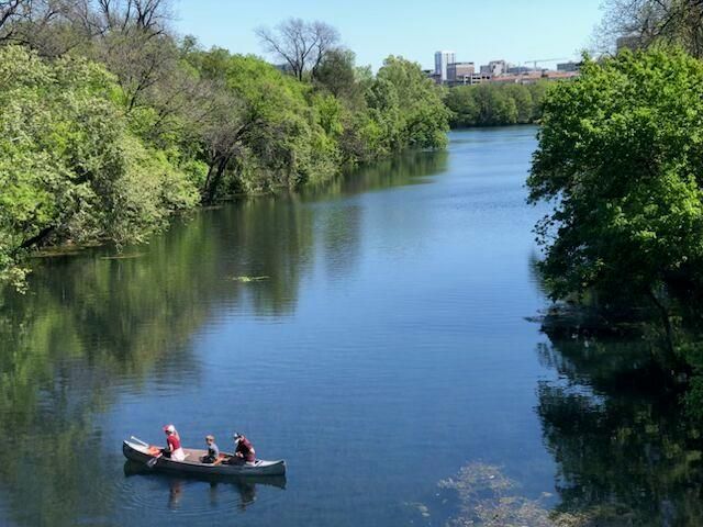1101 Hollow Creek DR 2203, Austin, TX 78704