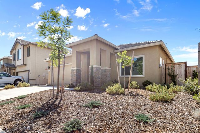 1317 River Run Cir, Ione, CA 95640