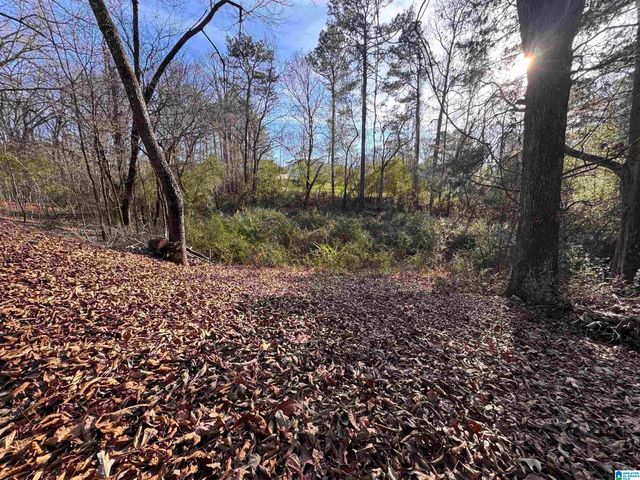 5415 CLAY PALMERDALE ROAD, Pinson, AL 35126