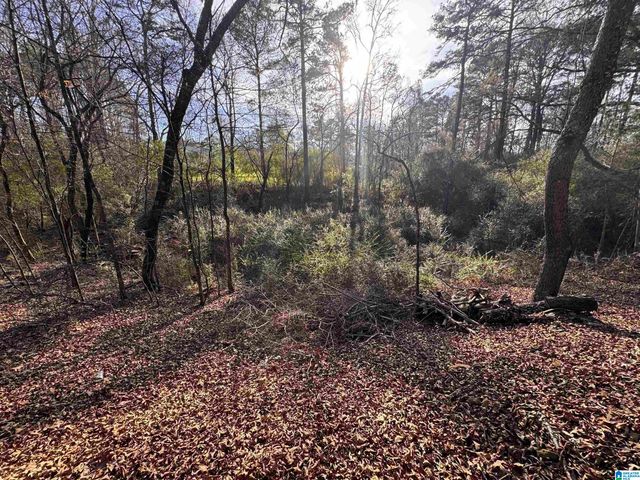 5415 CLAY PALMERDALE ROAD, Pinson, AL 35126