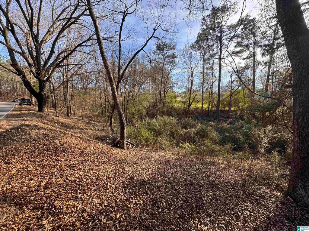 5415 CLAY PALMERDALE ROAD, Pinson, AL 35126
