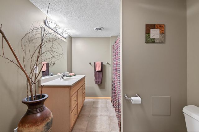13746 Shenandoah Street NE, Ham Lake, MN 55304