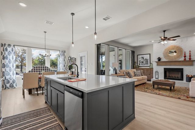 317 Skeen Peak, Springtown, TX 76082