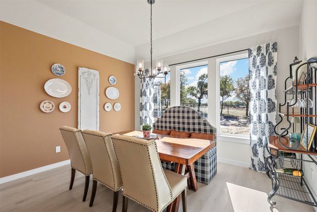 317 Skeen Peak, Springtown, TX 76082