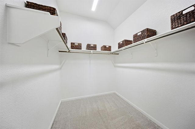 10003 Napier Drive, Rosharon, TX 77583