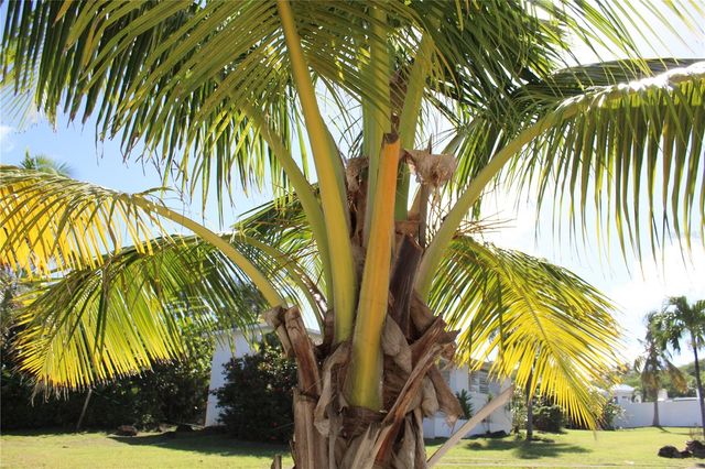 316 EL MAROC, Vieques, PR 00765