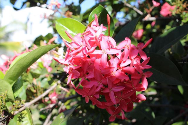 316 EL MAROC, Vieques, PR 00765