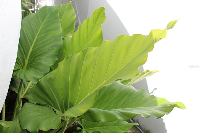 316 EL MAROC, Vieques, PR 00765