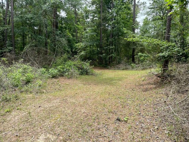 11544 Inspiration Drive, Willis, TX 77378