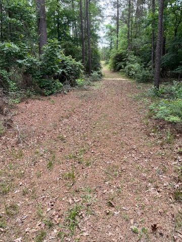 11544 Inspiration Drive, Willis, TX 77378