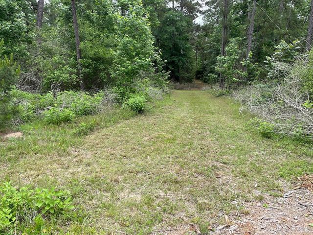 11544 Inspiration Drive, Willis, TX 77378