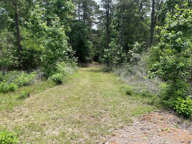 11544 Inspiration Drive, Willis, TX 77378