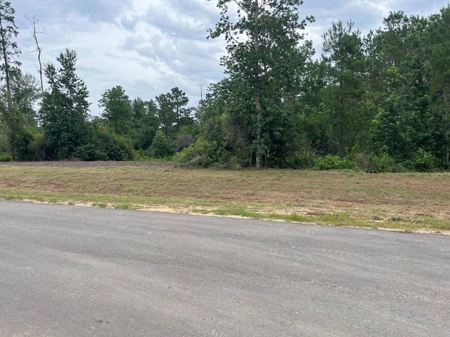 11544 Inspiration Drive, Willis, TX 77378
