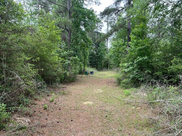 11544 Inspiration Drive, Willis, TX 77378