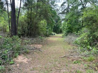 11544 Inspiration Drive, Willis, TX 77378