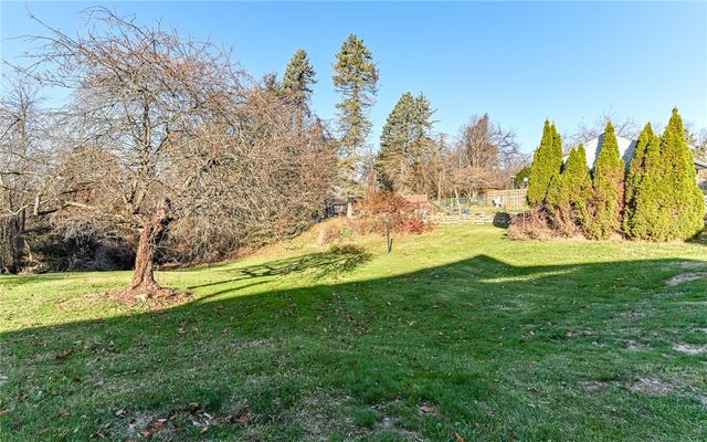 1711 Mercer STreet, Hopewell Twp, PA 15001