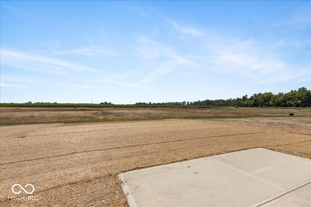 6217 Hampton Walk Boulevard, Mccordsville, IN 46055