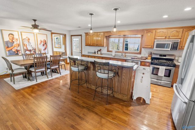 9890 County Road 103, Mentone, AL 35984