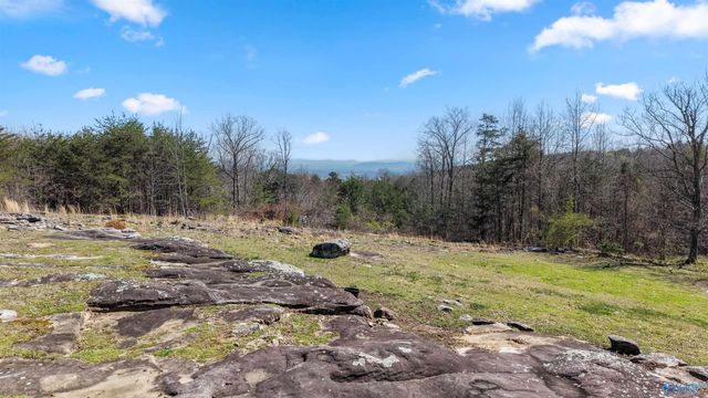 9890 County Road 103, Mentone, AL 35984