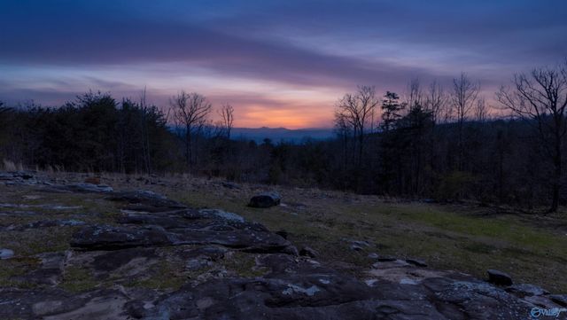 9890 County Road 103, Mentone, AL 35984