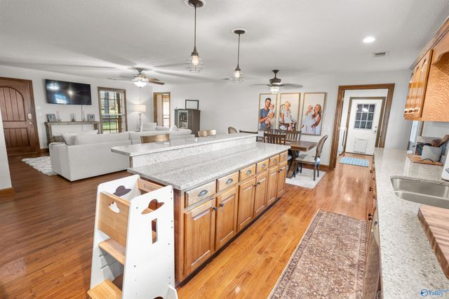 9890 County Road 103, Mentone, AL 35984