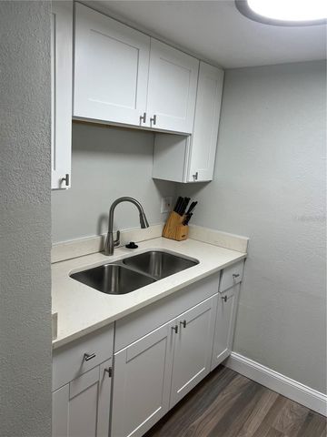 4141 DOLPHIN DRIVE 4141, Tampa, FL 33617
