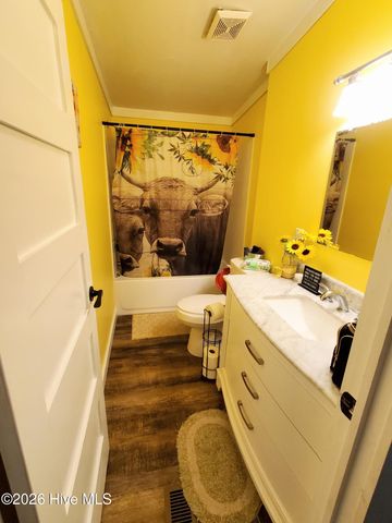 3984 Pocosin Road, Lake Waccamaw, NC 28450