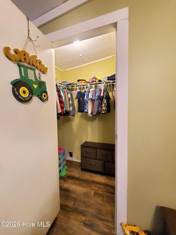 3984 Pocosin Road, Lake Waccamaw, NC 28450