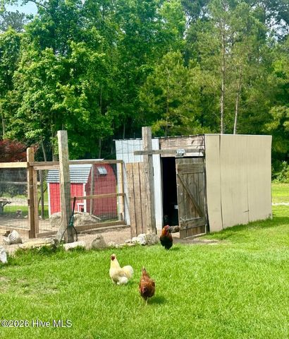 3984 Pocosin Road, Lake Waccamaw, NC 28450