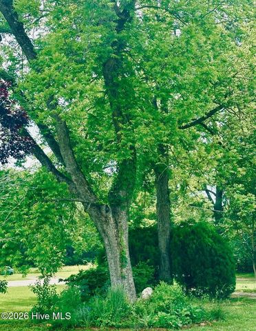 3984 Pocosin Road, Lake Waccamaw, NC 28450