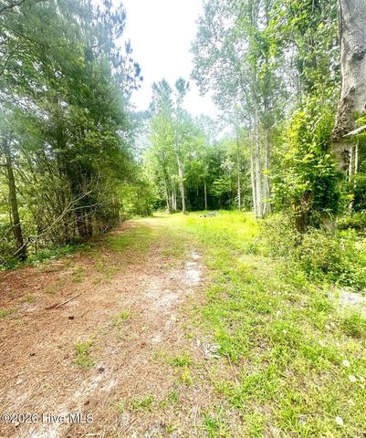 3984 Pocosin Road, Lake Waccamaw, NC 28450