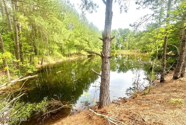 3984 Pocosin Road, Lake Waccamaw, NC 28450