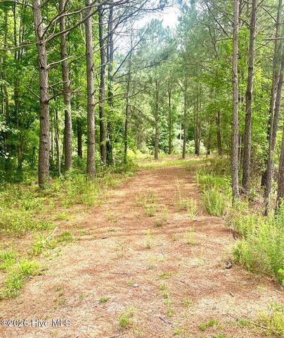 3984 Pocosin Road, Lake Waccamaw, NC 28450